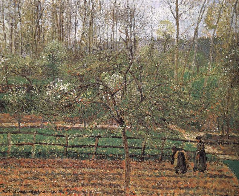 Camille Pissarro Spring china oil painting image